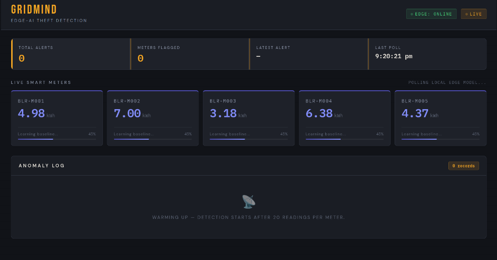 Smart Meter Intelligence & Loss Detection